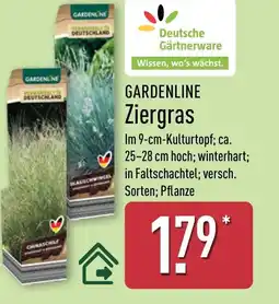 Aldi Nord GARDENLINE Ziergras Angebot