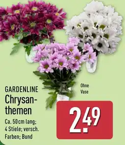 Aldi Nord GARDENLINE Chrysanthemen Angebot
