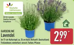 Aldi Nord GARDENLINE Lavendel Angebot