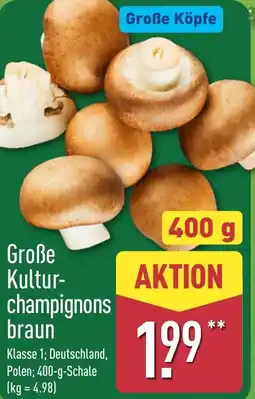 Aldi Nord Große Kulturchampignons braun Angebot