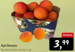 KONSUM Aprikosen Angebot