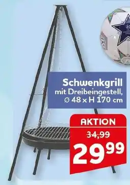 CENTERSHOP Schwenkgrill Angebot