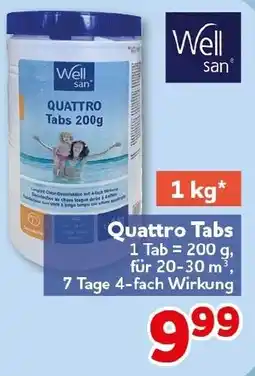 CENTERSHOP Well san Quattro Tabs Angebot