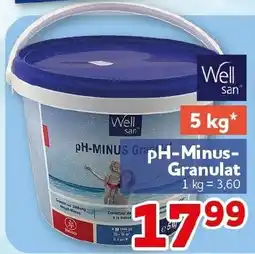 CENTERSHOP Well san PH-MINUS-Granulat Angebot