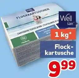 CENTERSHOP Well san Flockkartusche Angebot