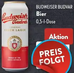 Aldi Süd BUDWEISER BUDVAR Bier Angebot