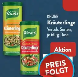 Aldi Süd KNORR Kräuterlinge Angebot