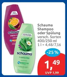 Budni Schauma shampoo 7 kräuter Angebot