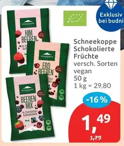 Budni Schneekoppe him beeren Angebot