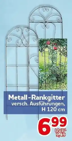 CENTERSHOP Metall-Rankgitter Angebot