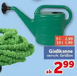 CENTERSHOP Gießkanne 5L Angebot