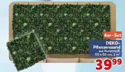 CENTERSHOP DEKO- Pflanzenwand Angebot