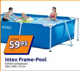 Action Intex Frame-Pool Angebot