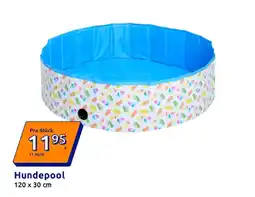 Action Hundepool Angebot
