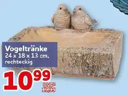CENTERSHOP Vogeltränke Angebot