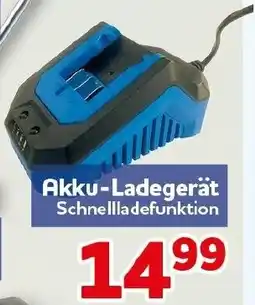 CENTERSHOP DORATEX GARDEN Akku-Ladegerät Angebot