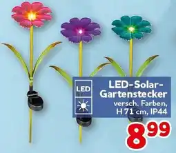 CENTERSHOP LED-Solar- Gartenstecker Angebot