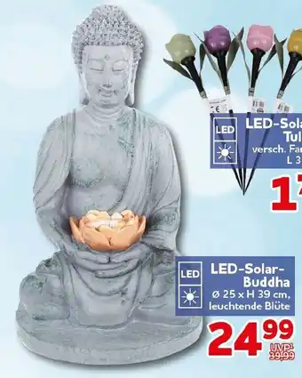 CENTERSHOP LED-Solar- Buddha Angebot