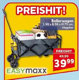 CENTERSHOP EASYmaxx Bollerwagen Angebot