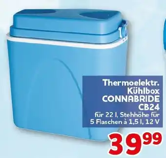 CENTERSHOP Thermoelektr. Kühlbox CONNABRIDE CB24 Angebot