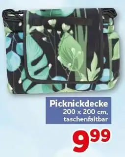 CENTERSHOP Picknickdecke Angebot