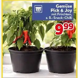 CENTERSHOP Gemüse Pick & Joy Angebot