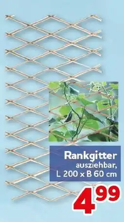 CENTERSHOP Rankgitter Angebot