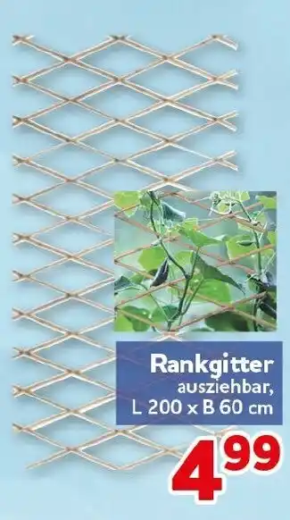CENTERSHOP Rankgitter Angebot