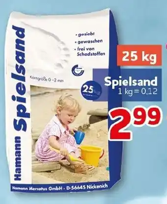 CENTERSHOP Hamann Spielsand Angebot
