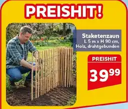 CENTERSHOP Staketenzaun Angebot