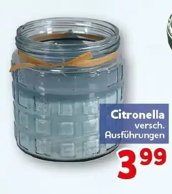 CENTERSHOP Citronella Angebot