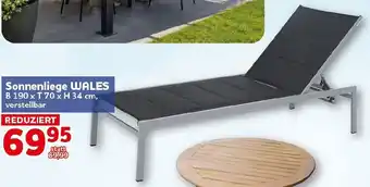 CENTERSHOP Sonnenliege WALES Angebot