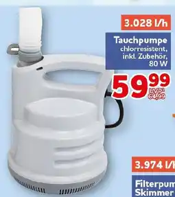 CENTERSHOP Bestway Tauchpumpe Angebot