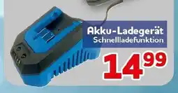 CENTERSHOP DORATEX GARDEN Akku-Ladegerät Angebot