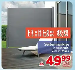CENTERSHOP Seitenmarkise Angebot