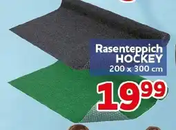 CENTERSHOP Rasenteppich HOCKEY Angebot