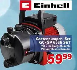 CENTERSHOP Einhell Gartenpumpen-Set GC-GP 6538 SET Angebot