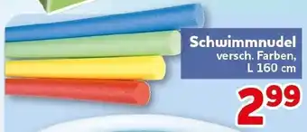 CENTERSHOP Schwimmnudel Angebot
