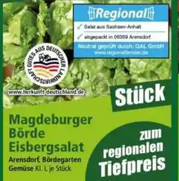 Norma Magdeburger Börde Eisbergsalat Angebot