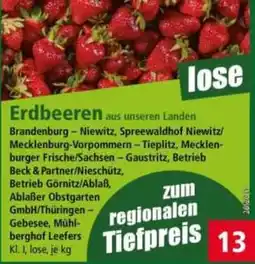 Norma Erdbeeren Angebot
