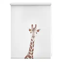 Netto Marken-Discount Lichtblick Rollo Klemmfix, ohne Bohren, blickdicht, Giraffe - Braun Angebot
