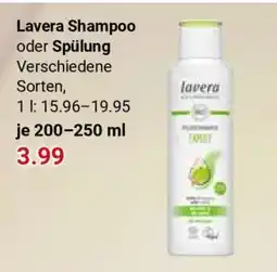 Globus LAVERA Shampoo oder Spülung Angebot