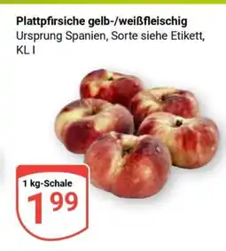 Globus Plattpfirsiche gelb-/weißfleischig Angebot