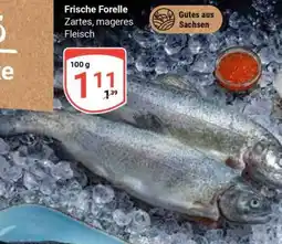 Globus Frische Forelle Angebot