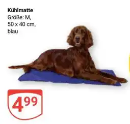 Globus Kühlmatte Angebot