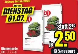 B1 Discount Baumarkt b1 Blumenerde Angebot
