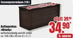 B1 Discount Baumarkt Auflagenbox Woody Angebot