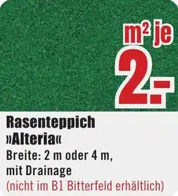 B1 Discount Baumarkt Rasenteppich Alteria Angebot