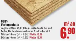 B1 Discount Baumarkt OSB1 Verlegeplatte Angebot