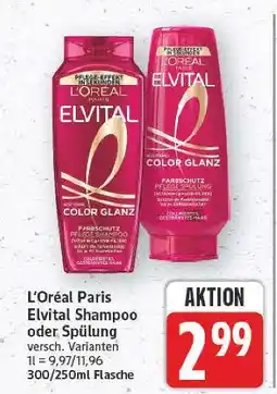 E-Center L'oréal paris elvital shampoo Angebot